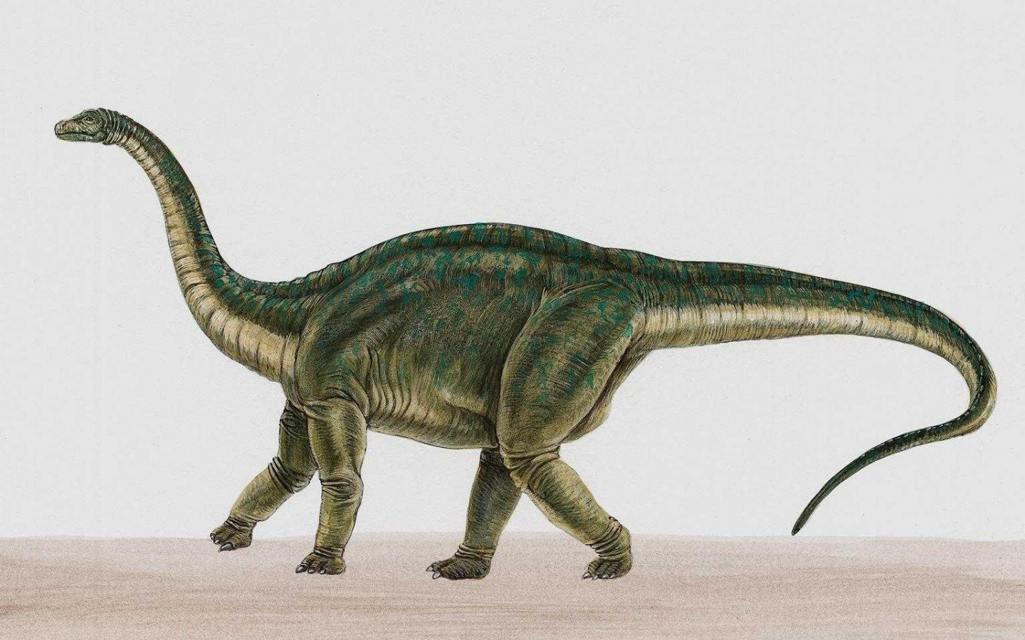 dinozaury (28).jpg