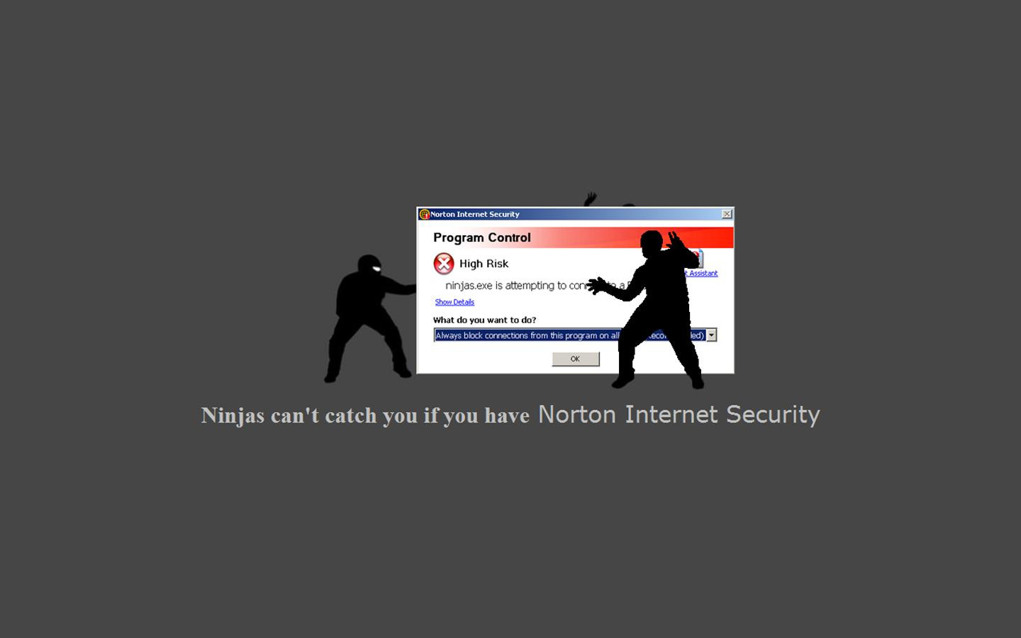 Ninja (34).jpg