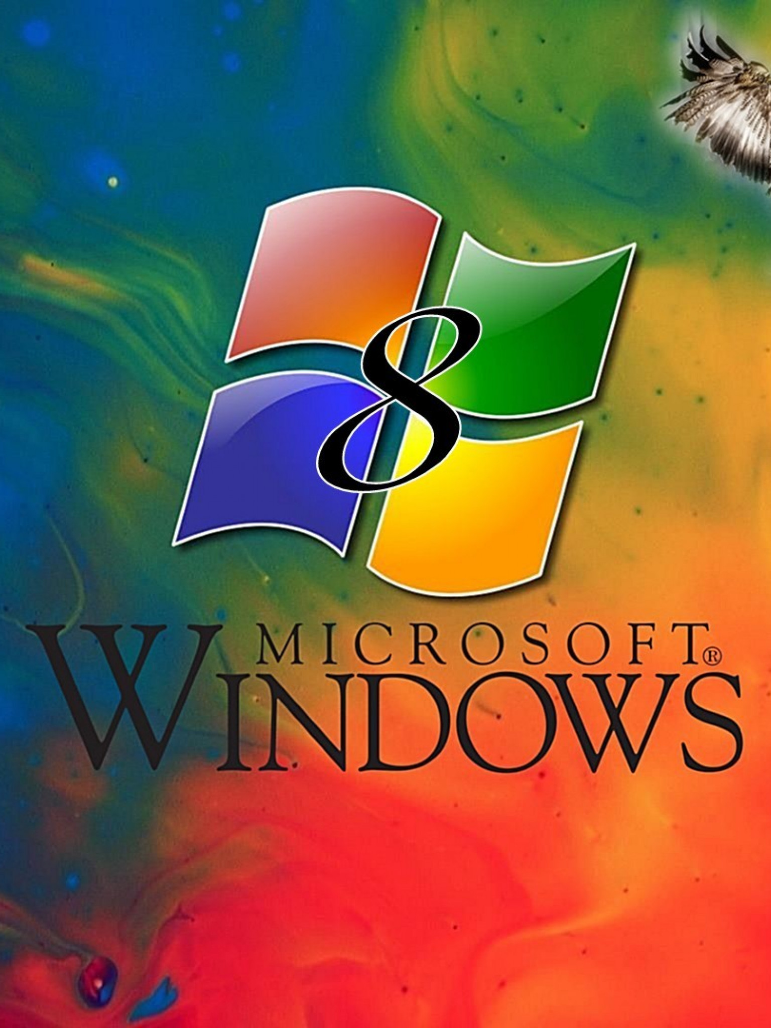 windows 8