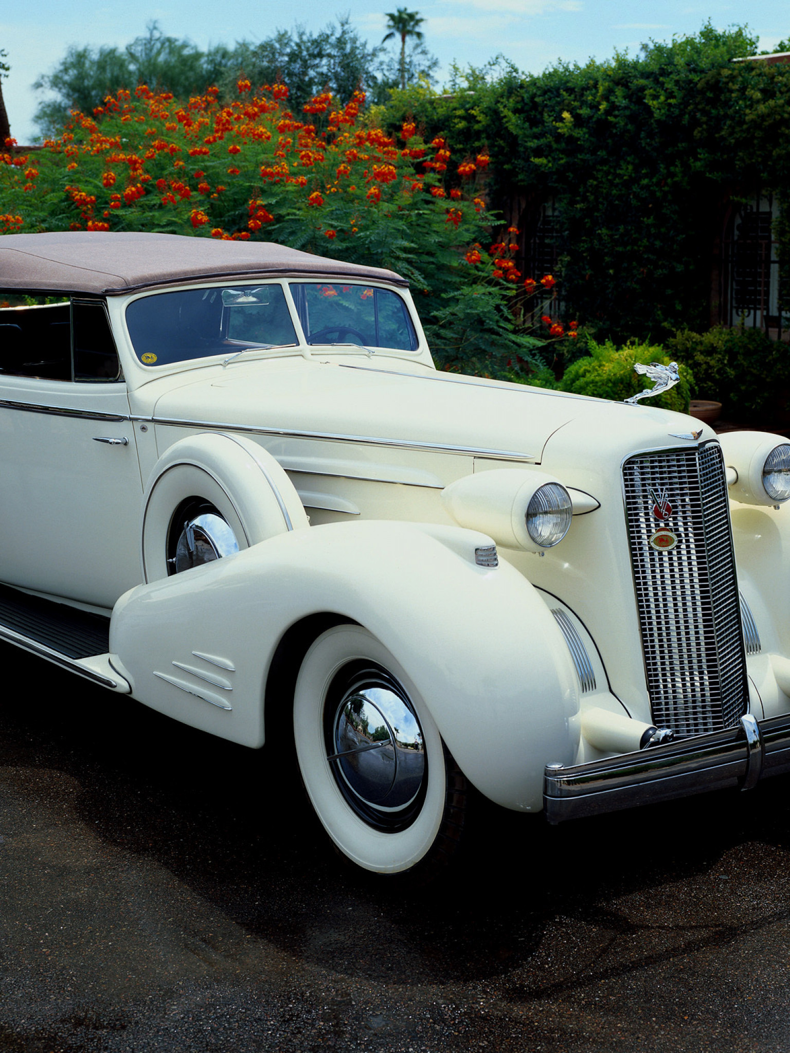 Cadillac V16 Series 90 Town Cabriolet '1936.jpg