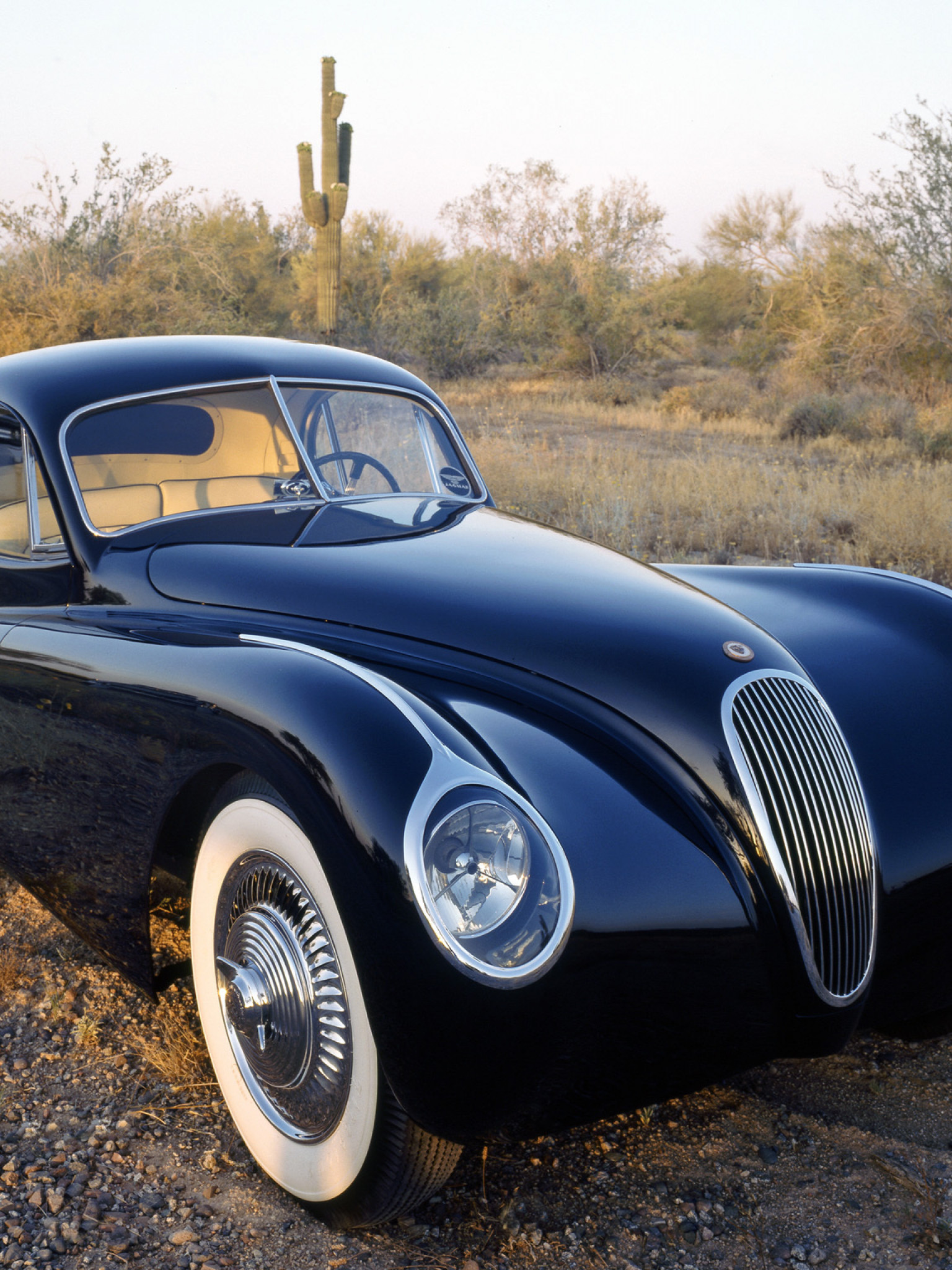 Jaguar XK120M Fixed Head Coupe '1953.jpg