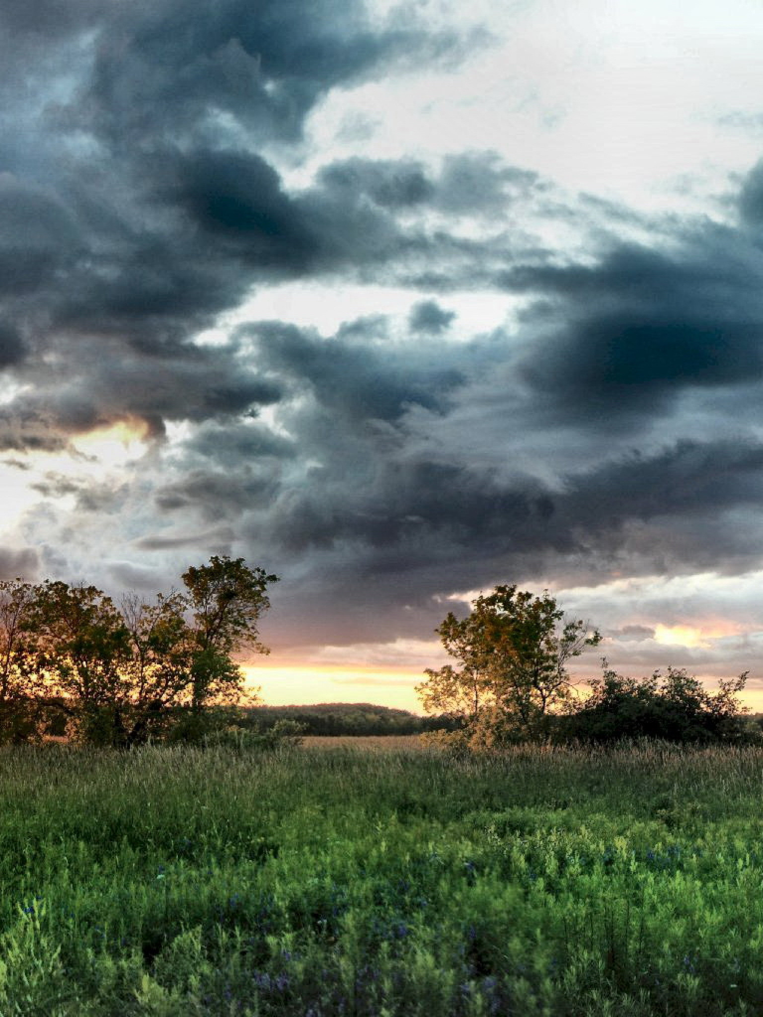 tapeta panoramiczna (61).jpg