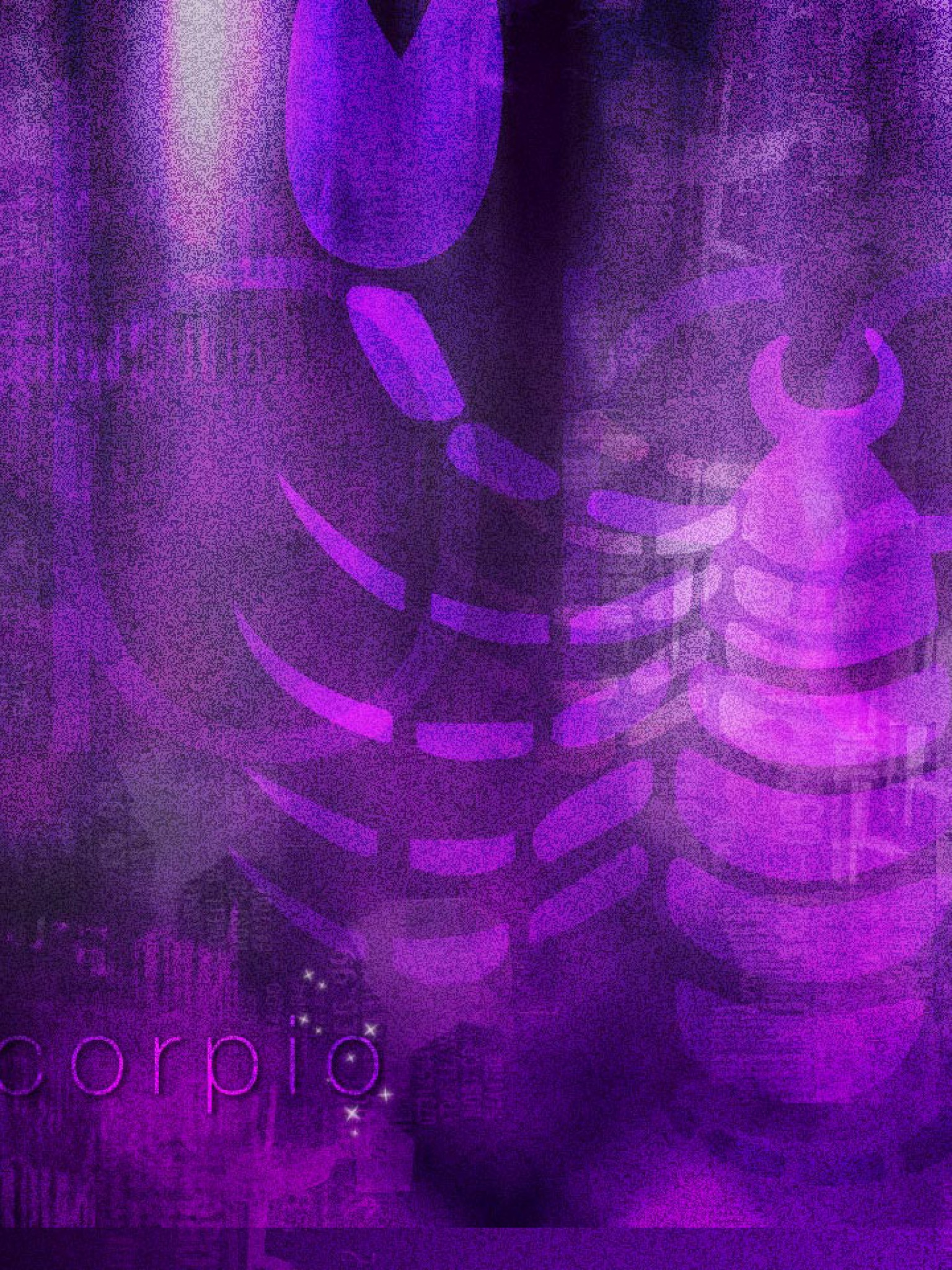 skorpion (2).jpg