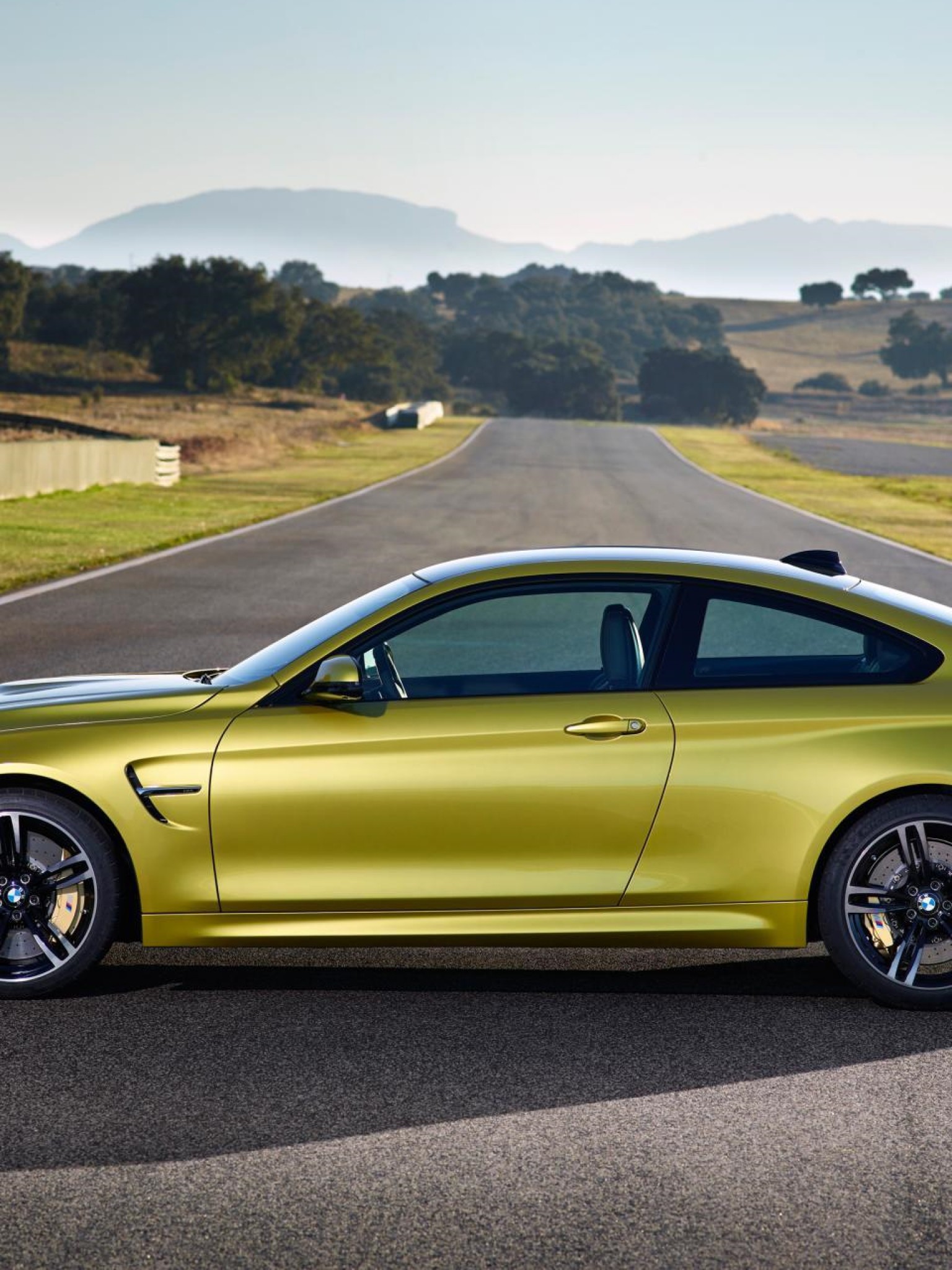 BMW M4 Coupe 2015 20