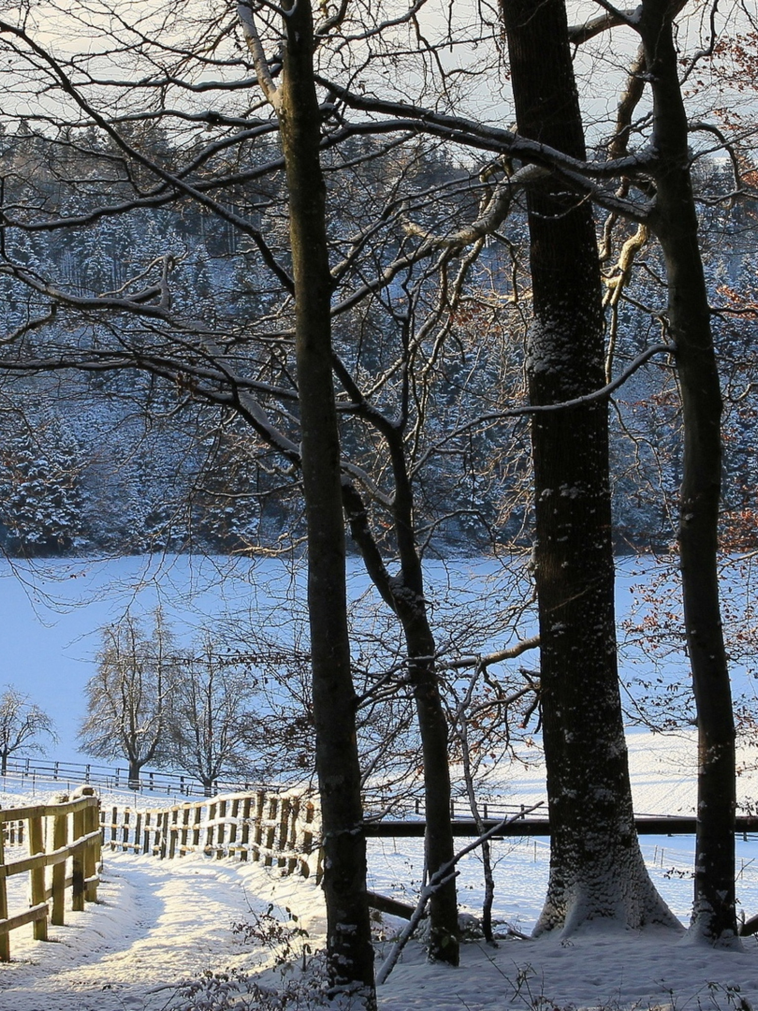 Krajobraz zima 67