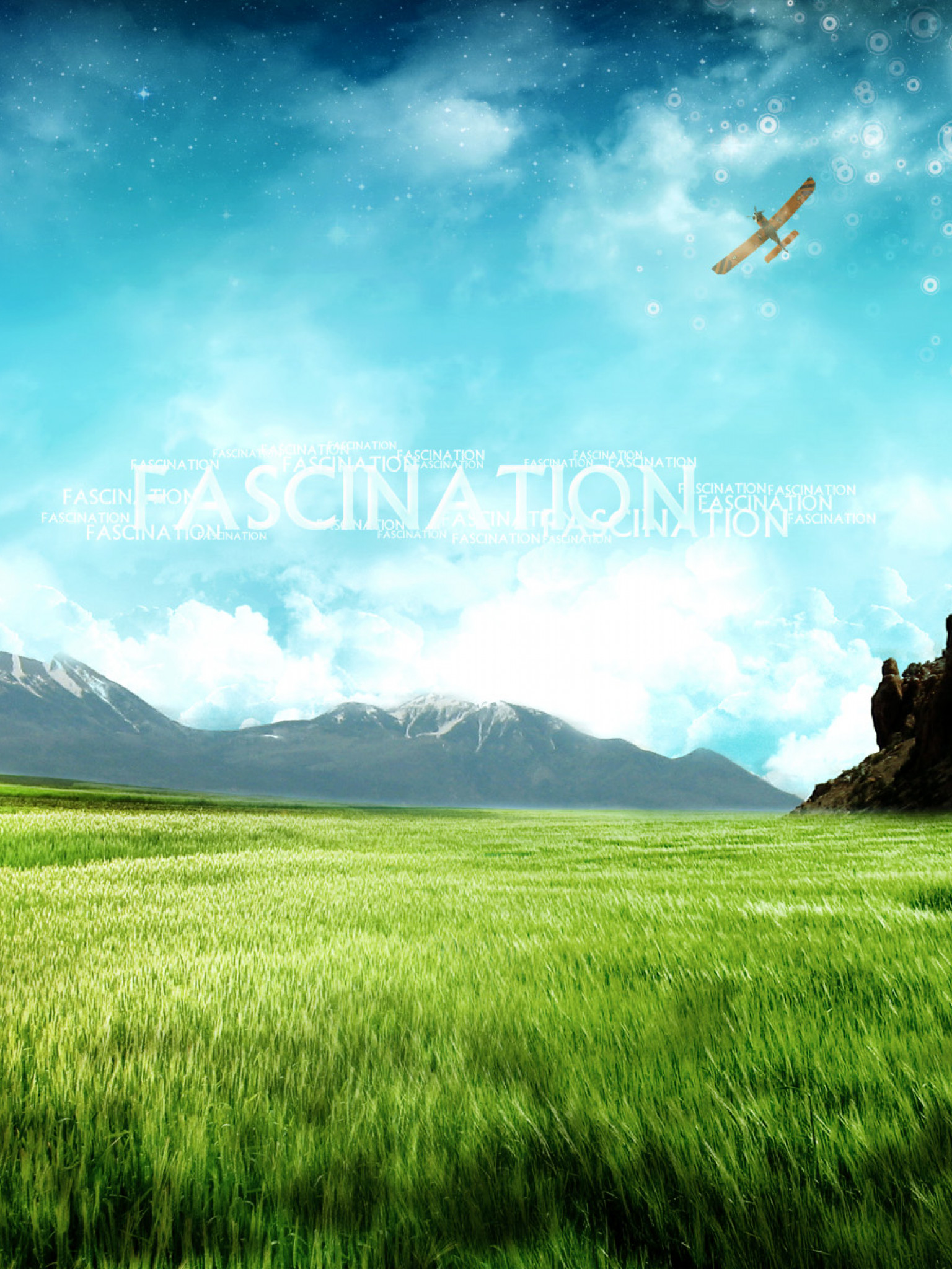Fascination.jpg