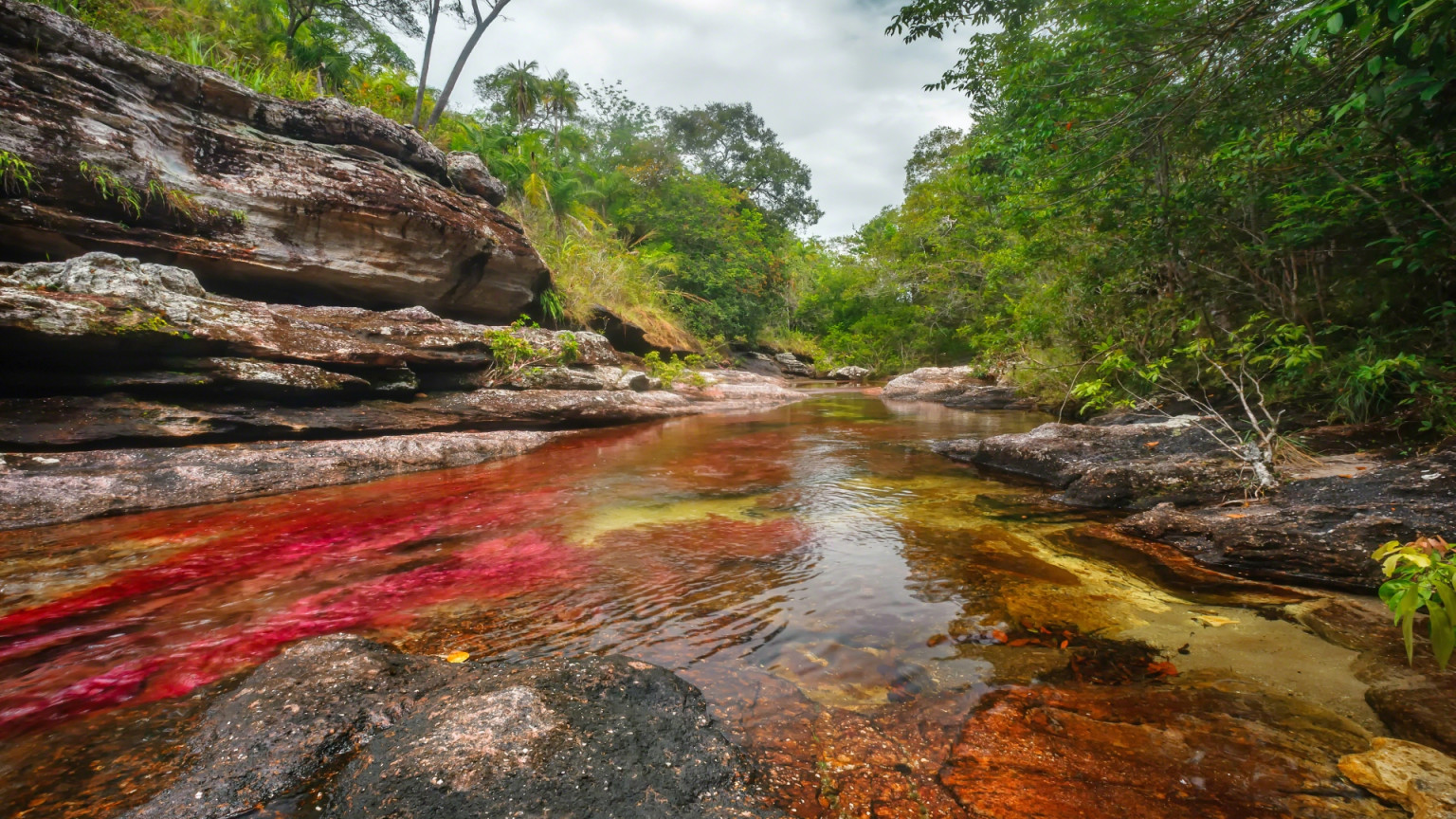 Caño Cristales