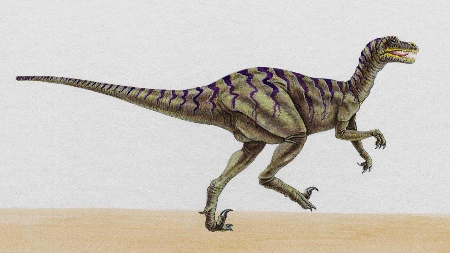 dinozaury (55).jpg