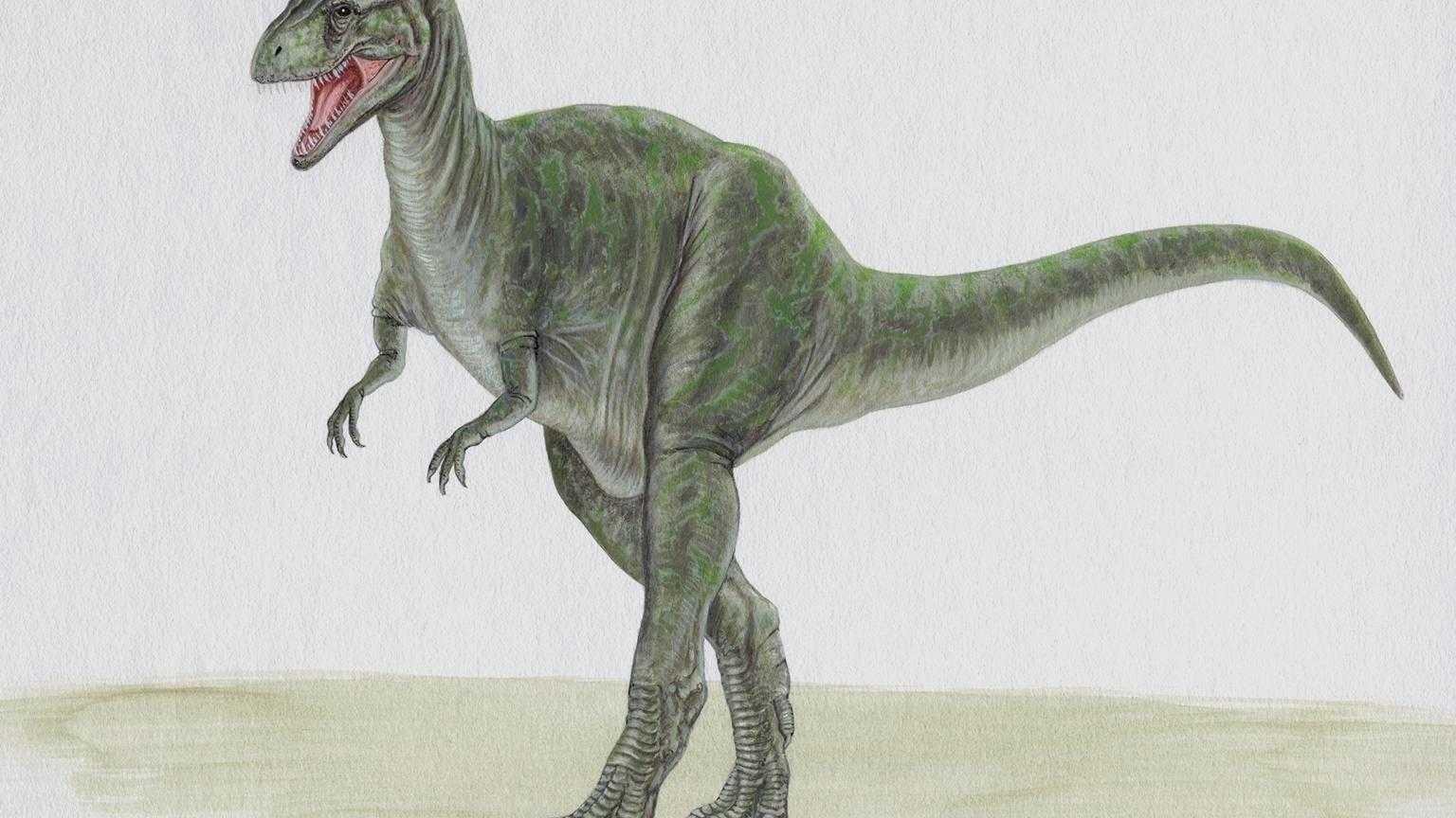 dinozaury (10).jpg