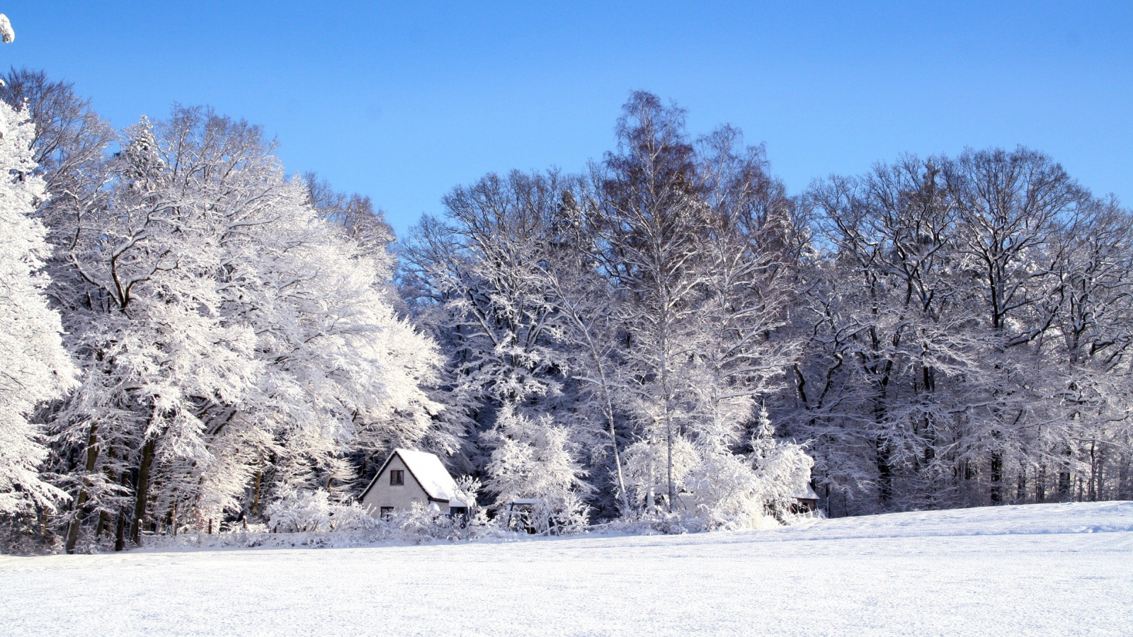 Zima, Śnieg, drzewa i domek