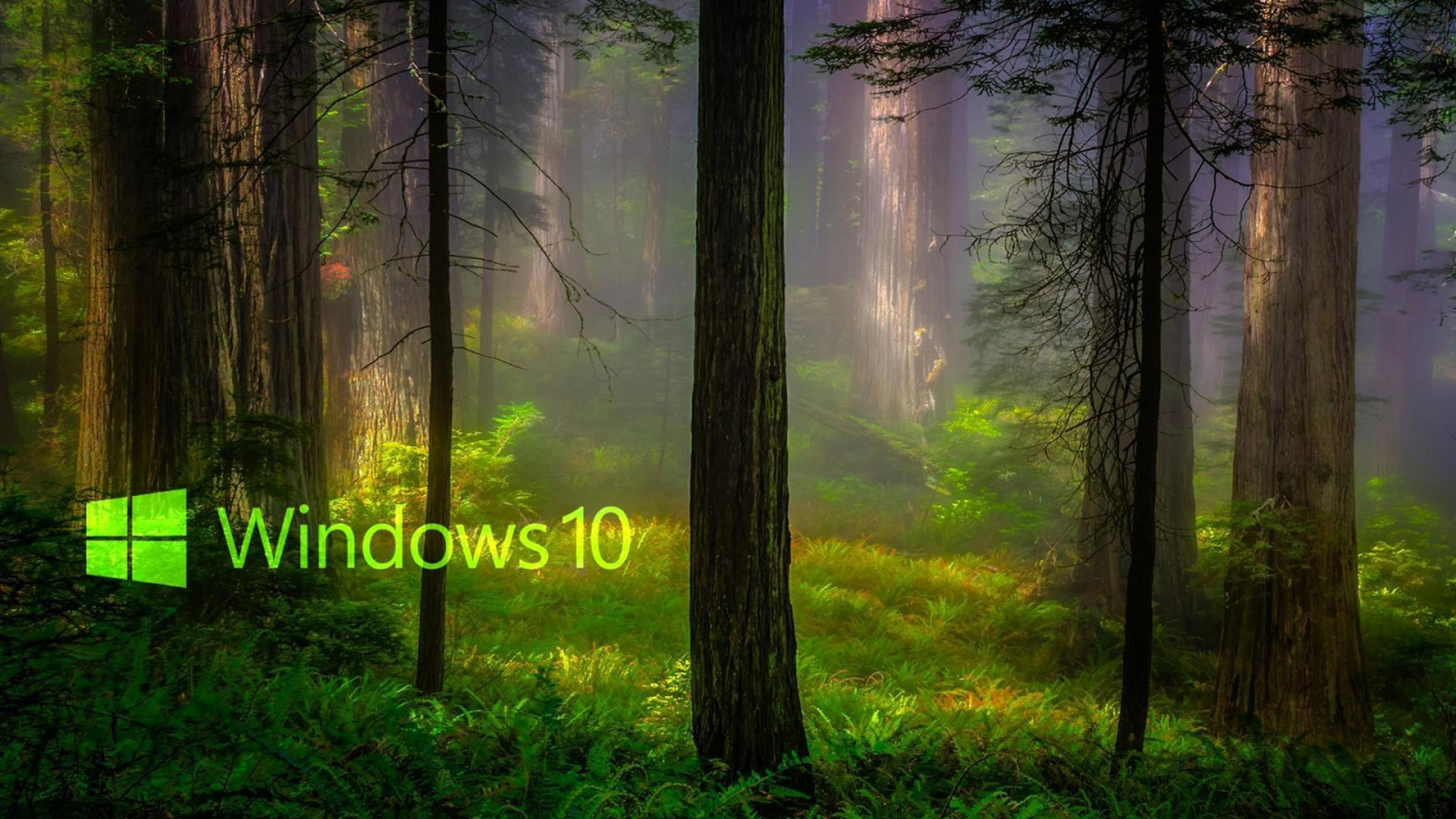 windows 10