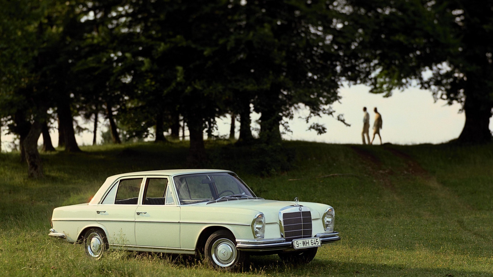 Mercedes-Benz S-Klasse (W111 112).jpg