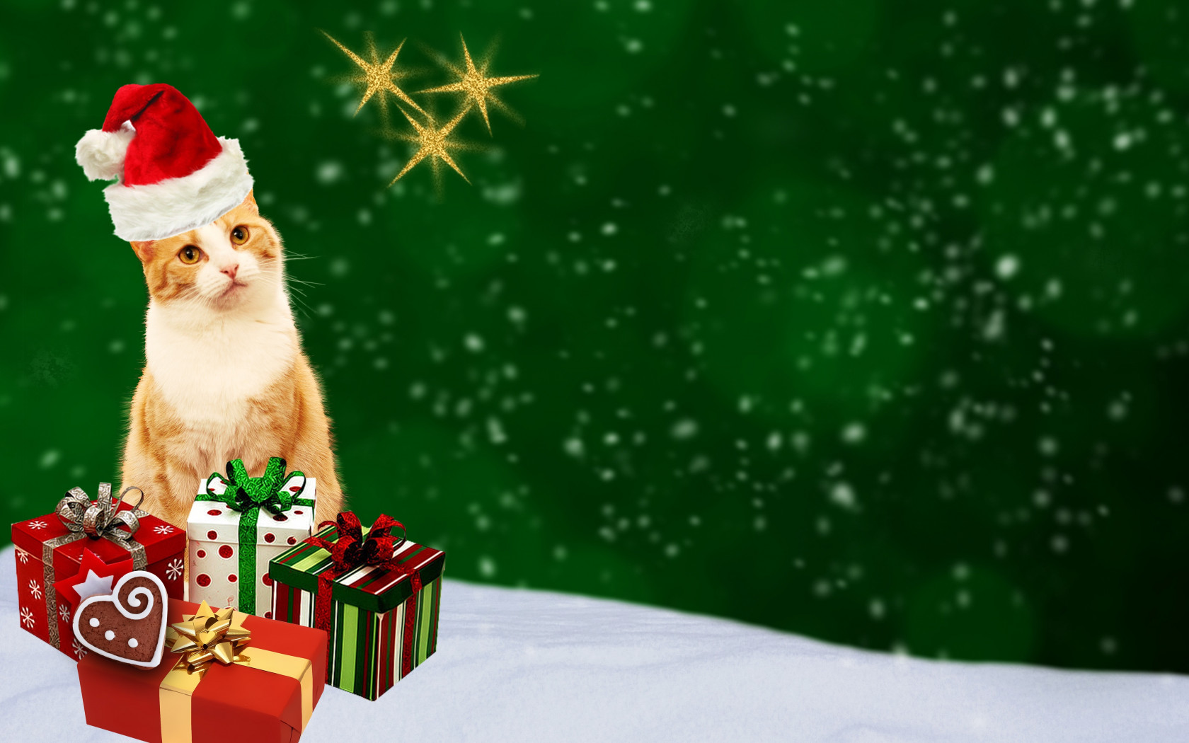 Kot i prezenty w Święta