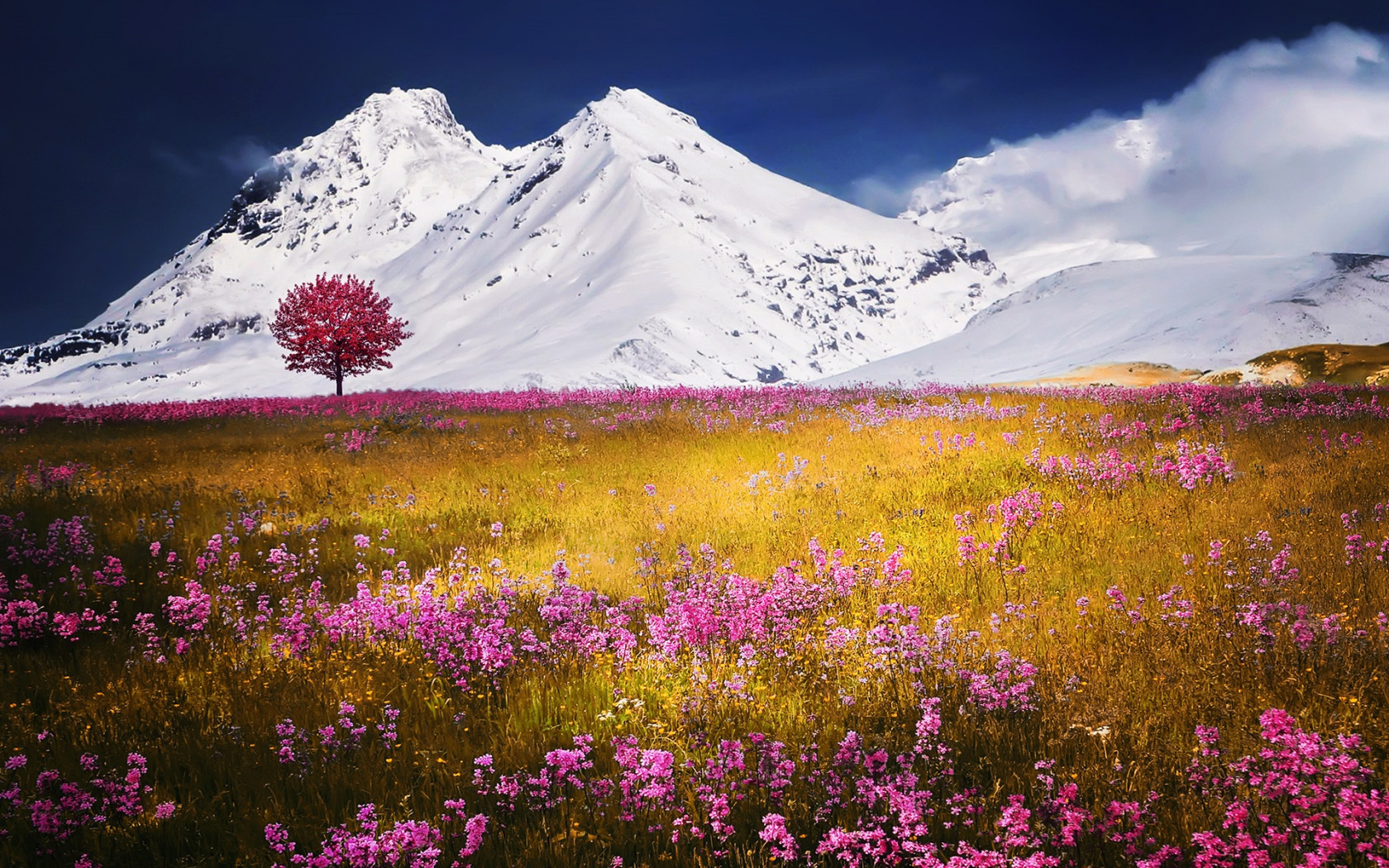 Alpy i kwiaty na łące