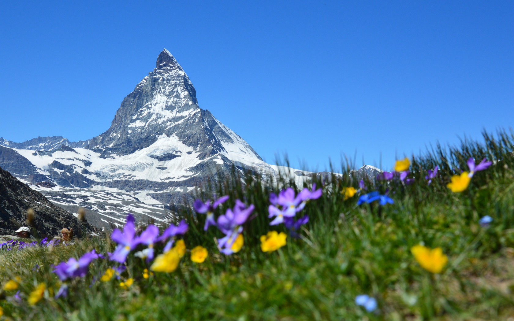 Matterhorn Alpejski w Zermatt