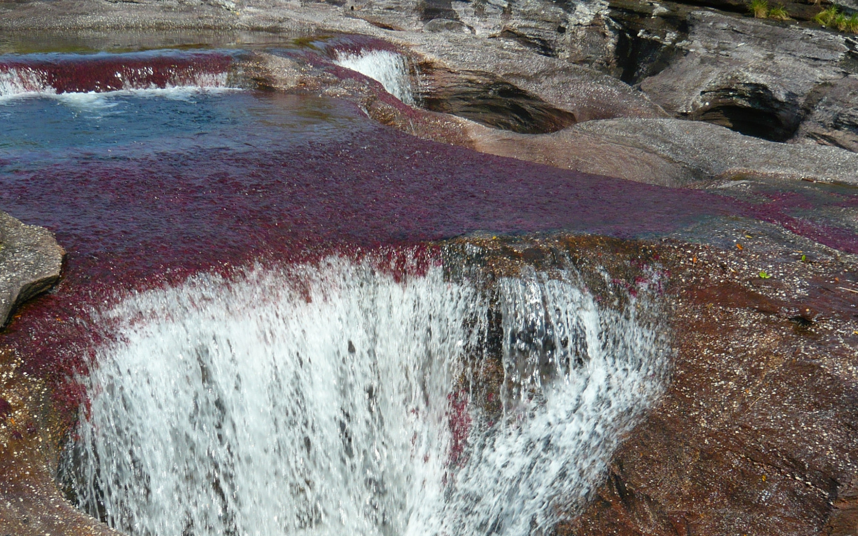 Caño Cristales