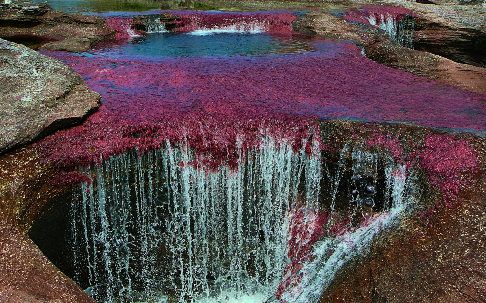 Caño Cristales