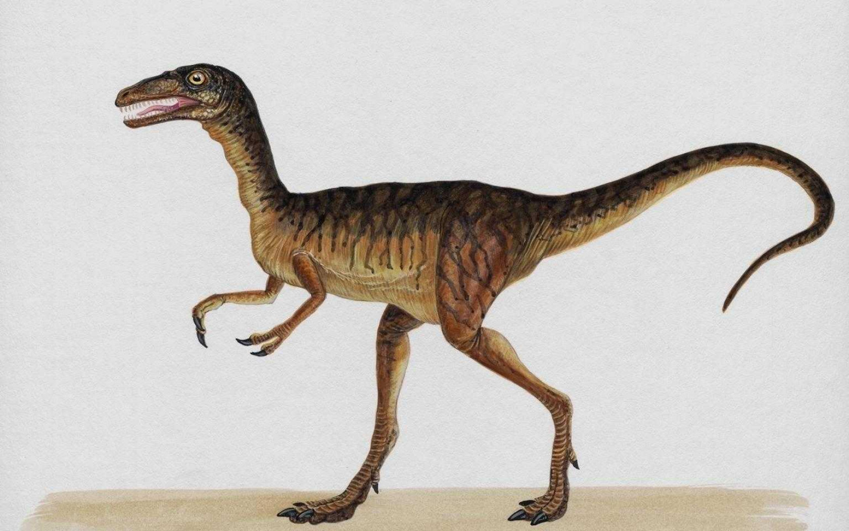 dinozaury (54).jpg