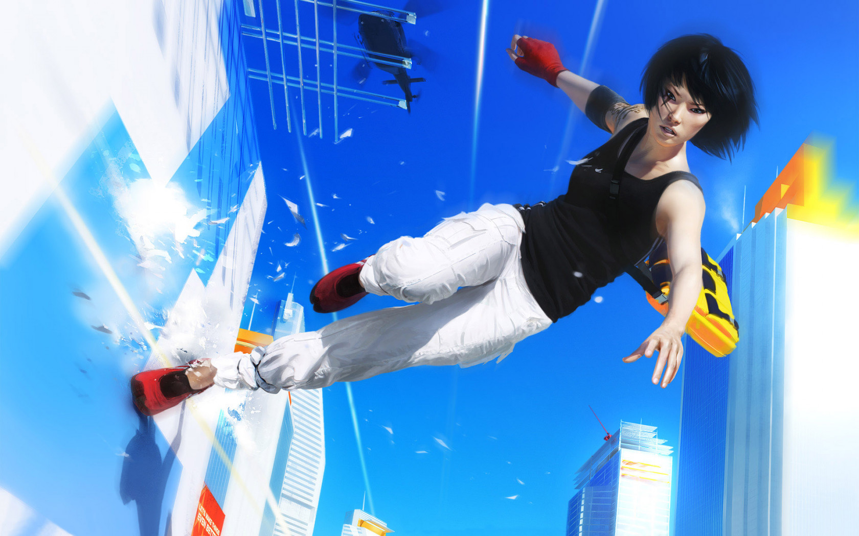 mirrorsedge02_wall.jpg