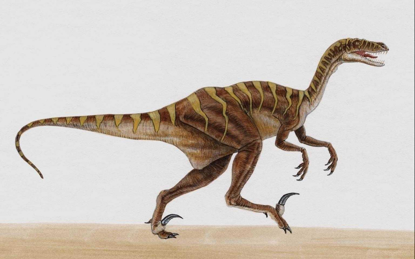 dinozaury (60).jpg