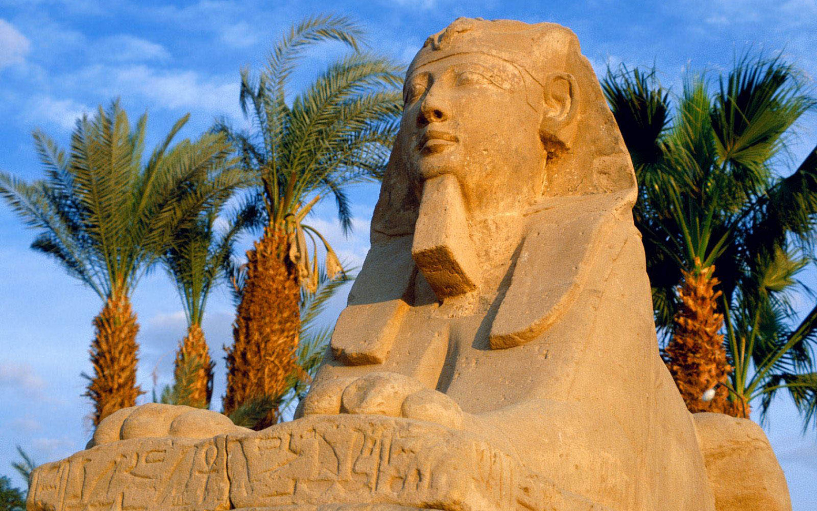 Egipt (59).jpg