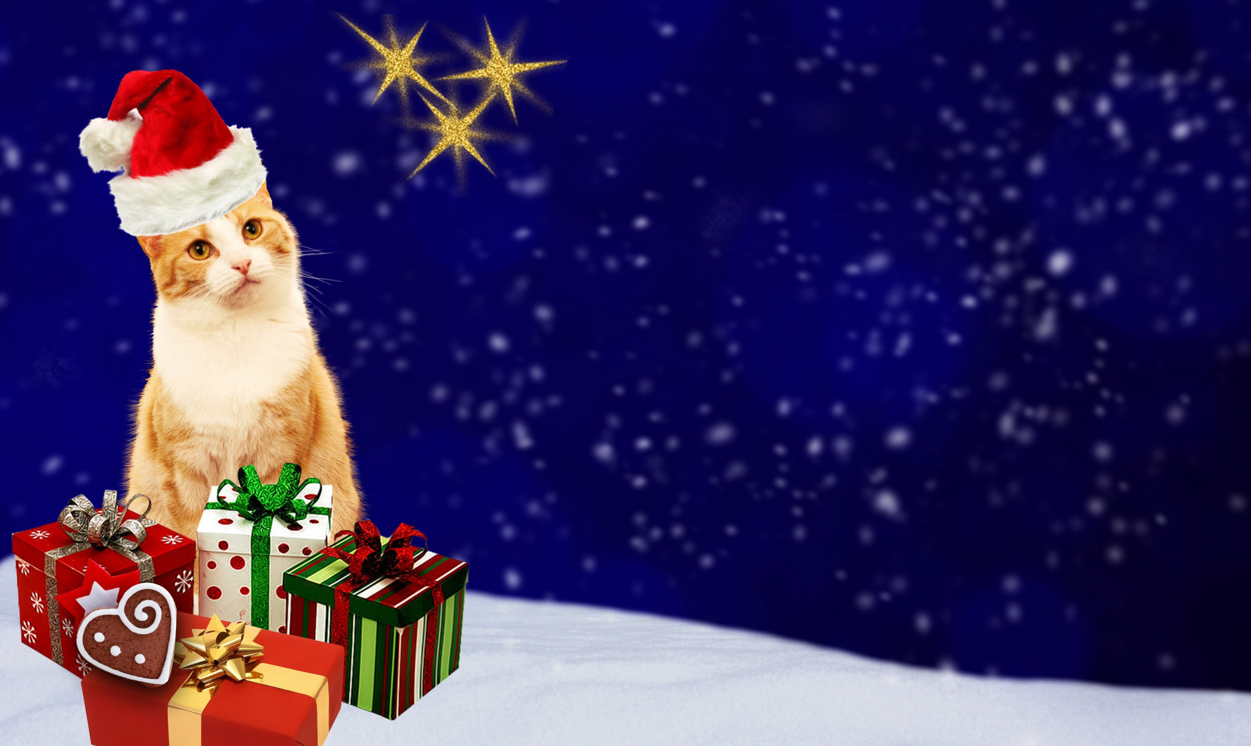 Kot z prezentami w Boże Narodzenie