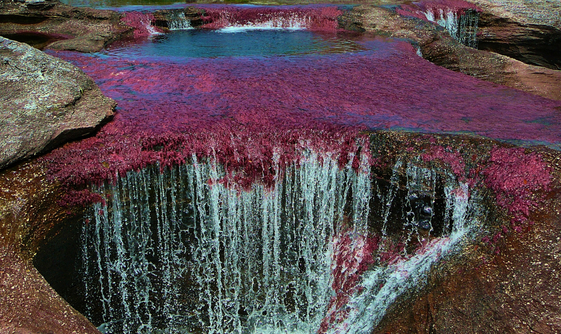 Caño Cristales