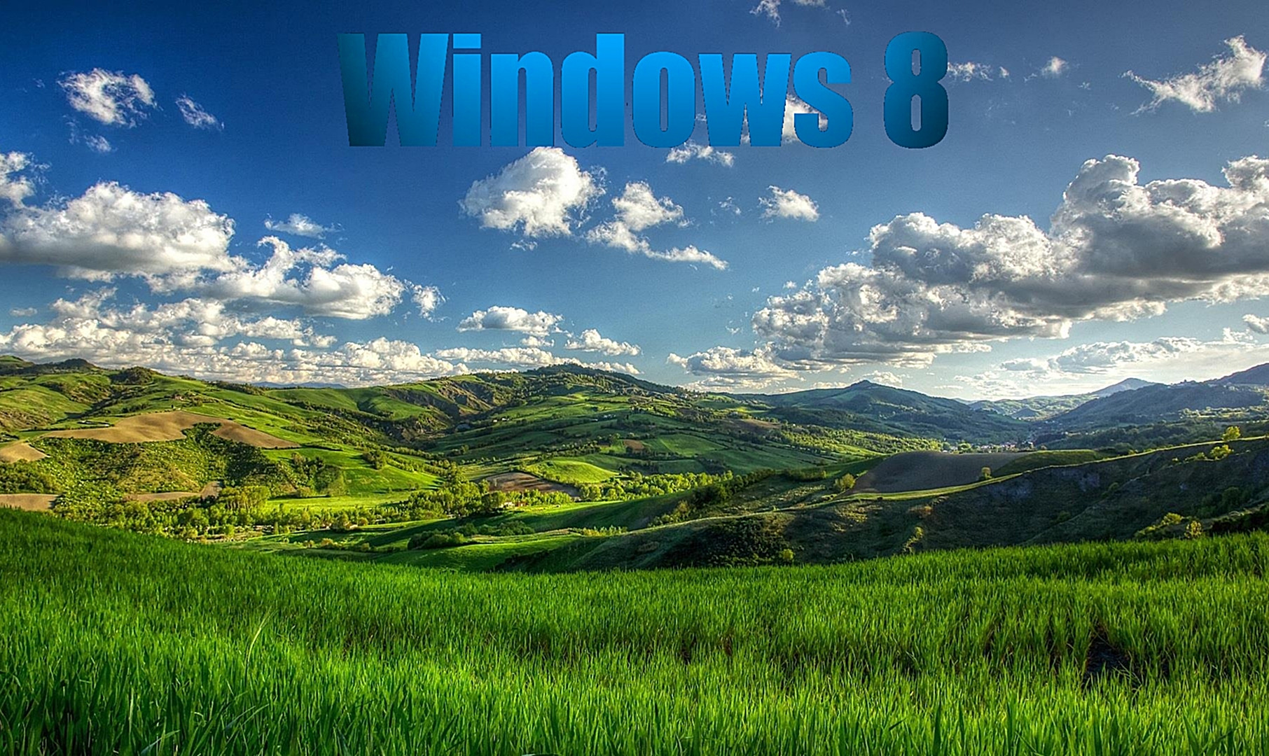 Windows 8