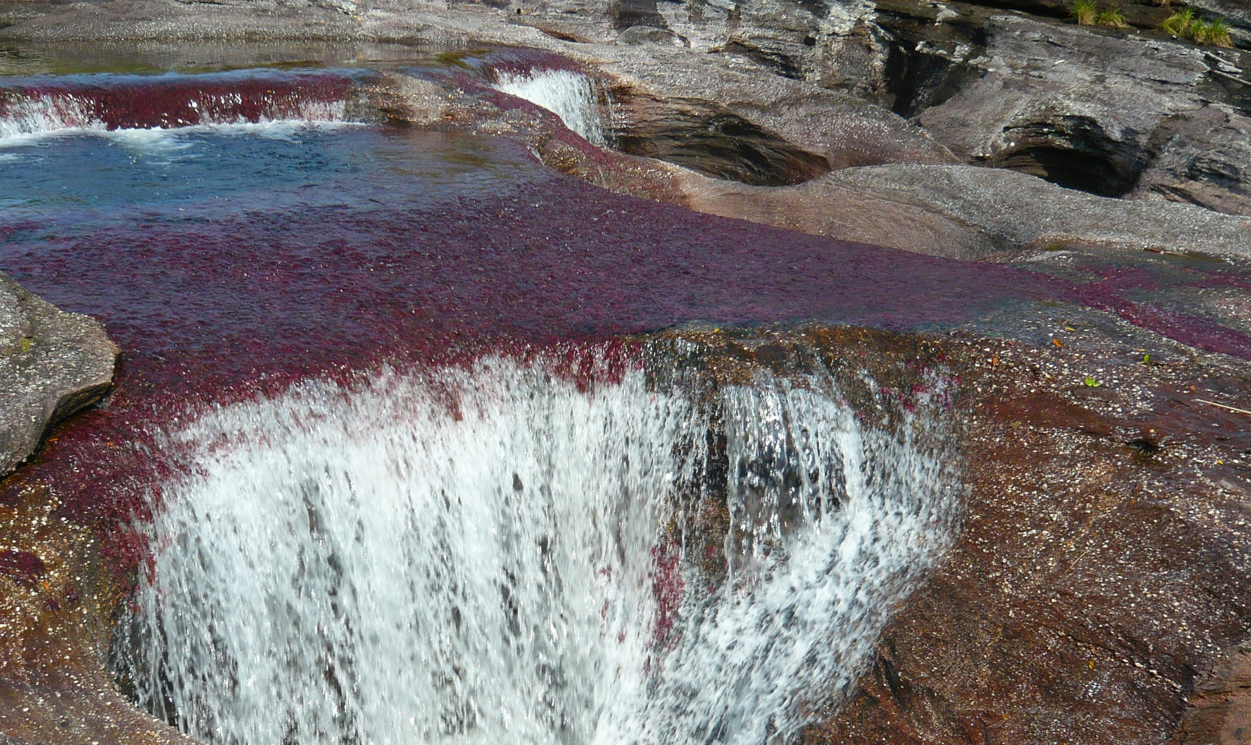 Caño Cristales