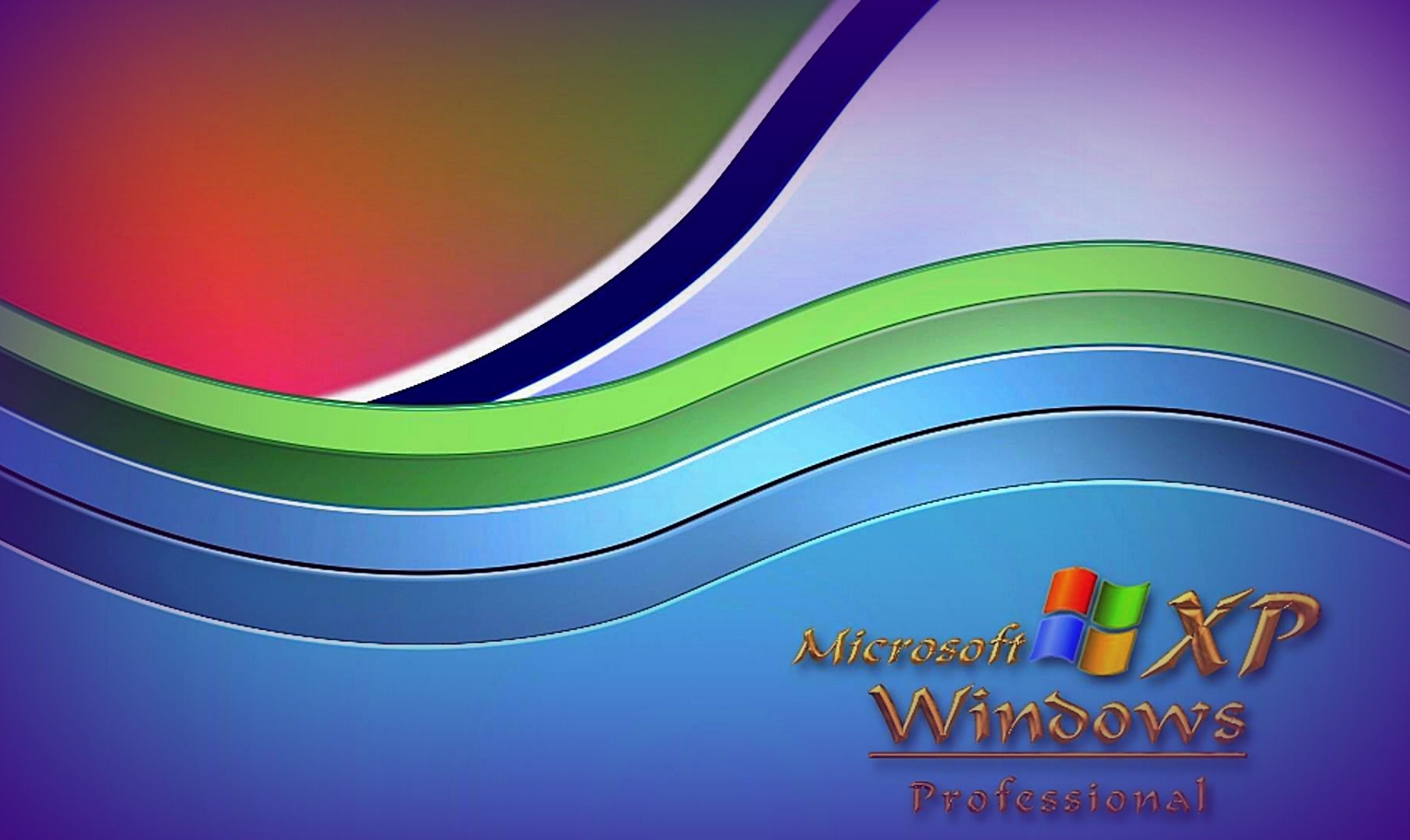 windows xp