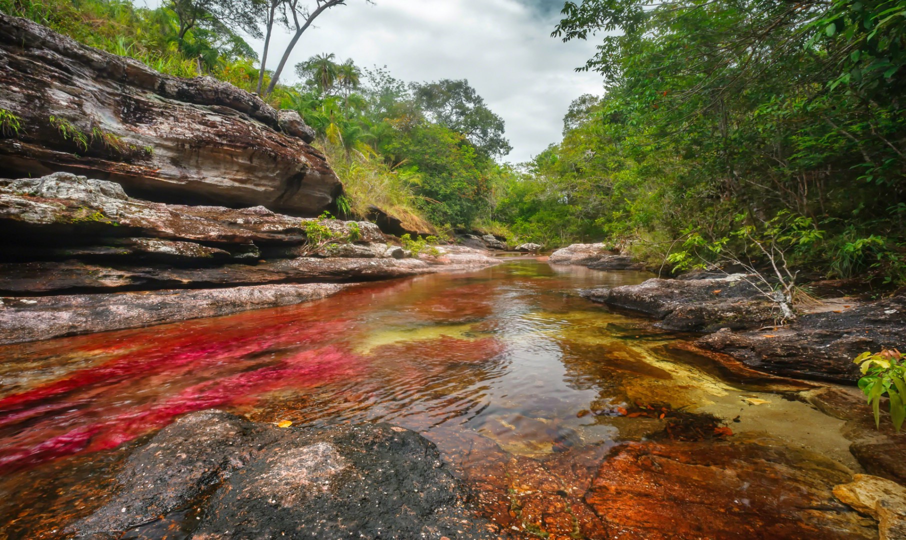 Caño Cristales