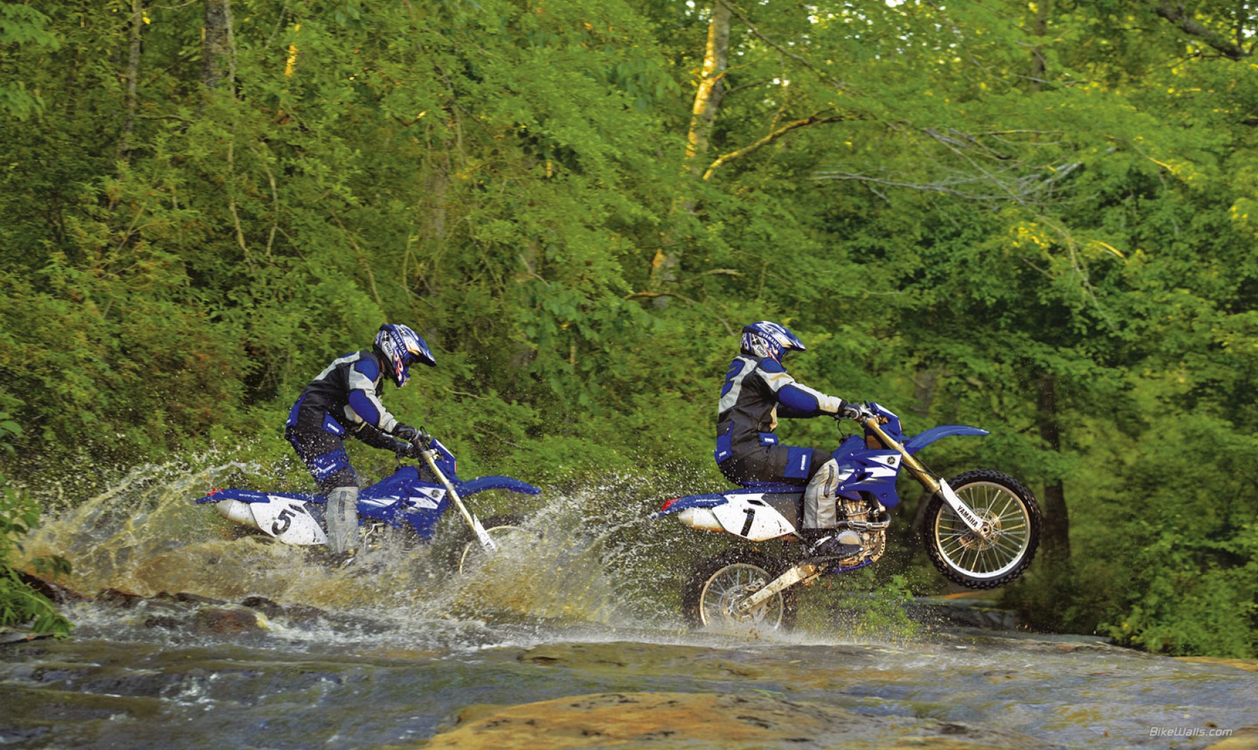 Yamaha_WR250F_2006_03_1440x900.jpg