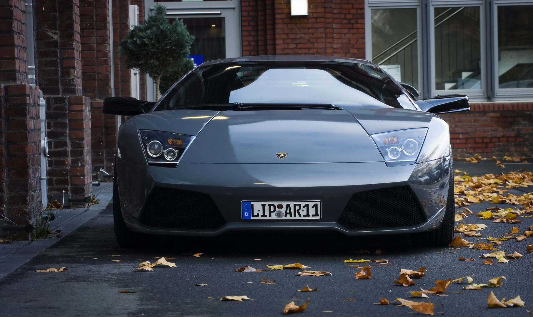 lamborghini 124