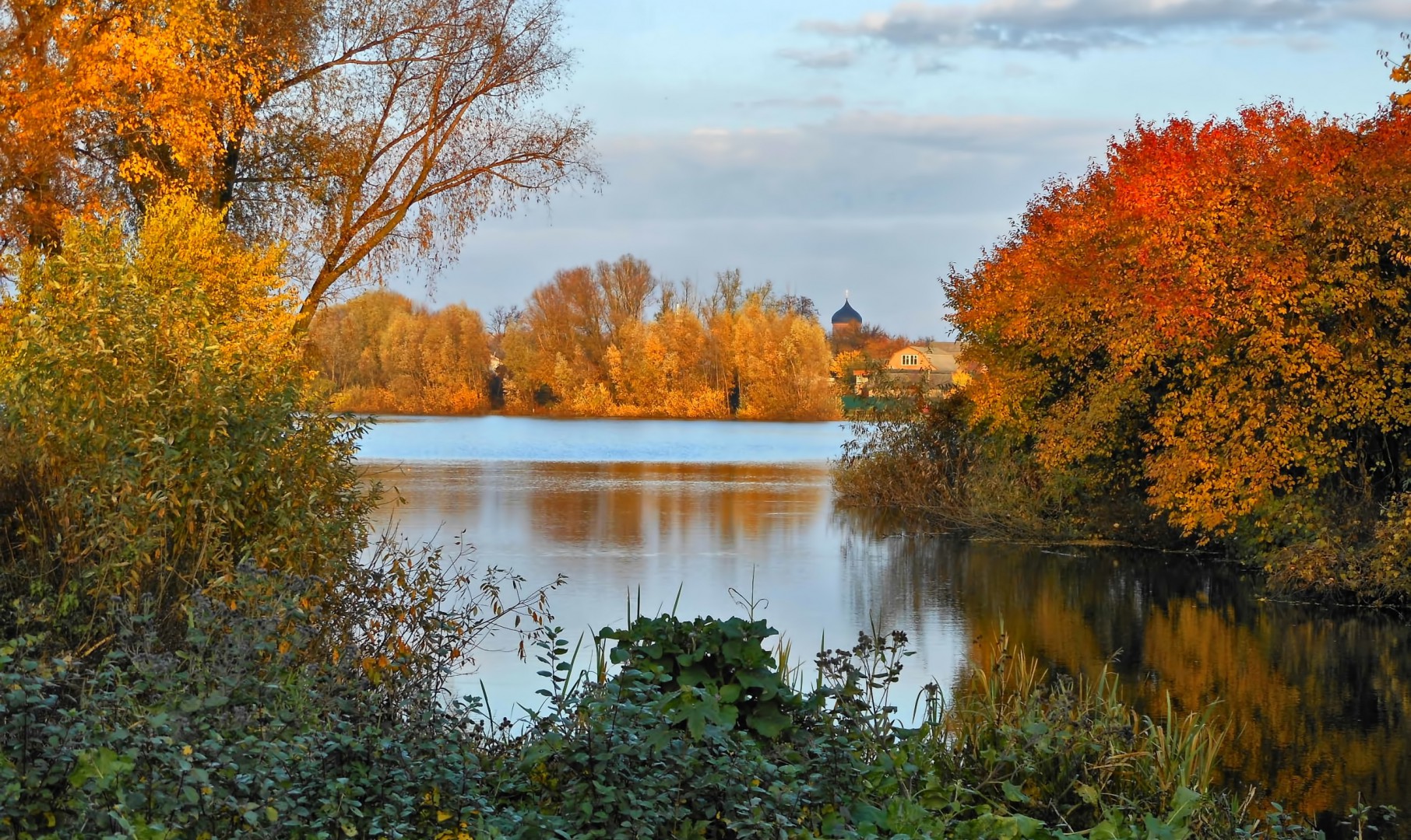 Drzewa nad rzeką