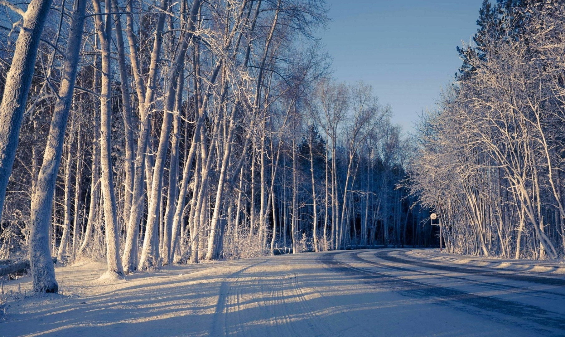 Piękny HD  Widok 120