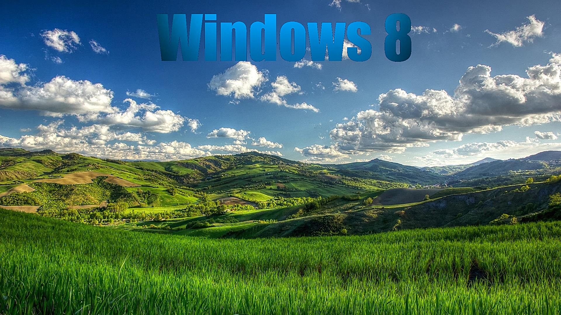 Windows 8