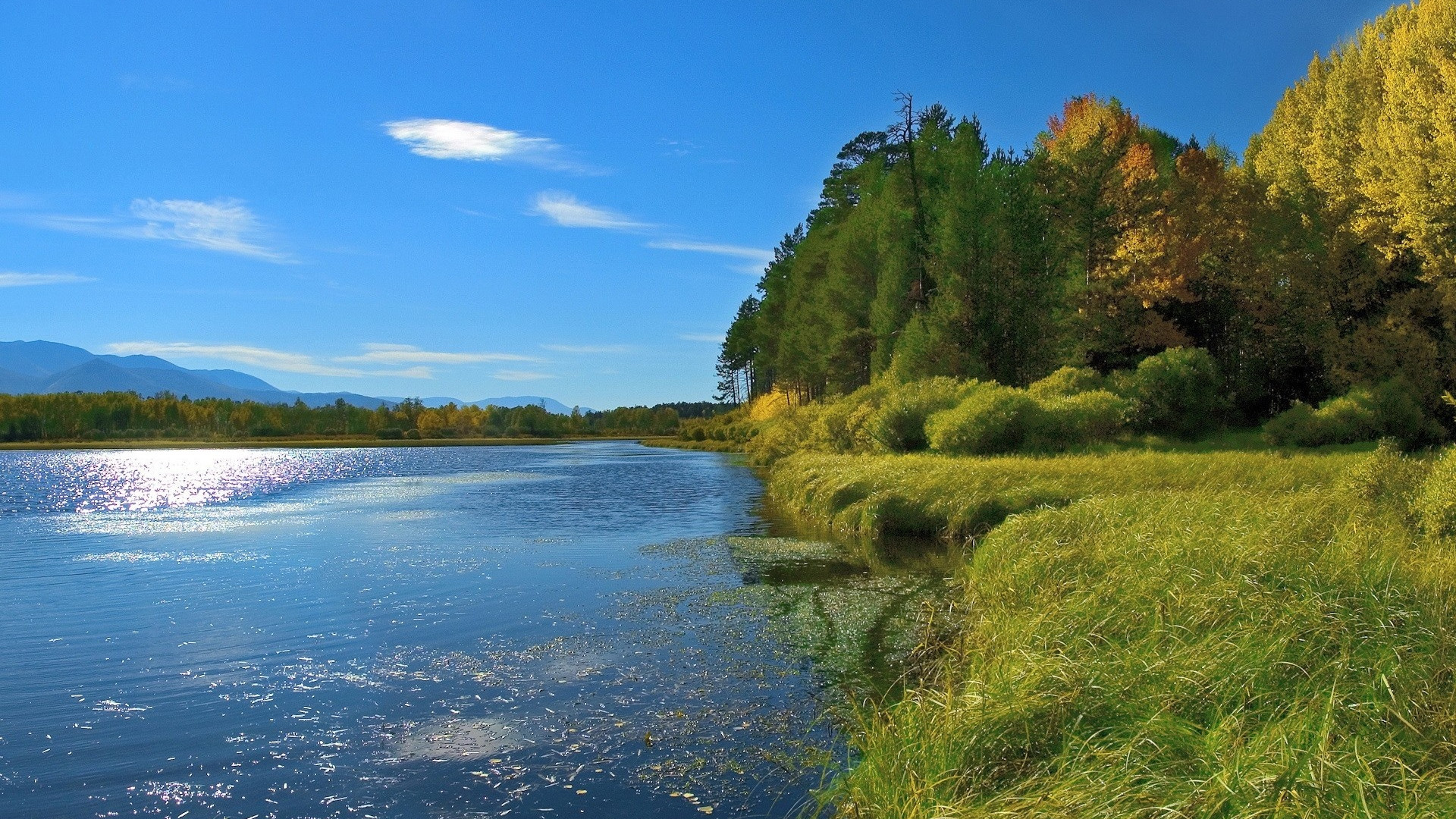 Piękny HD  Widok 80