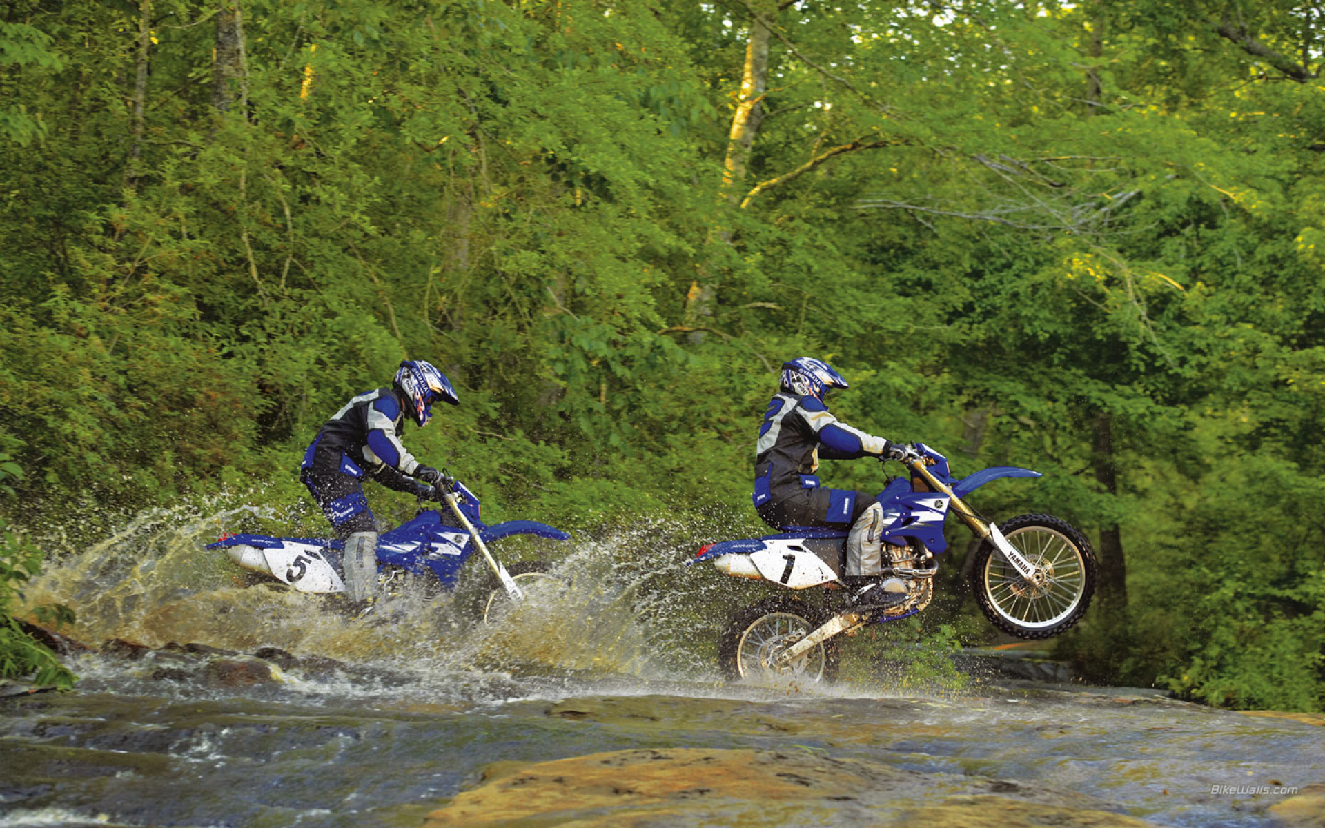 Yamaha_WR250F_2006_03_1440x900.jpg