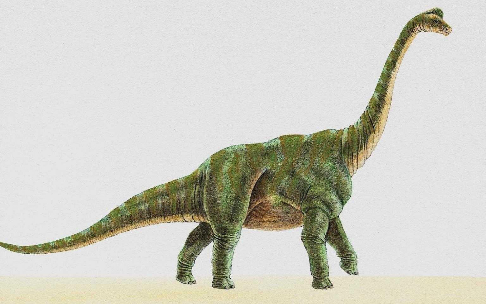dinozaury (25).jpg