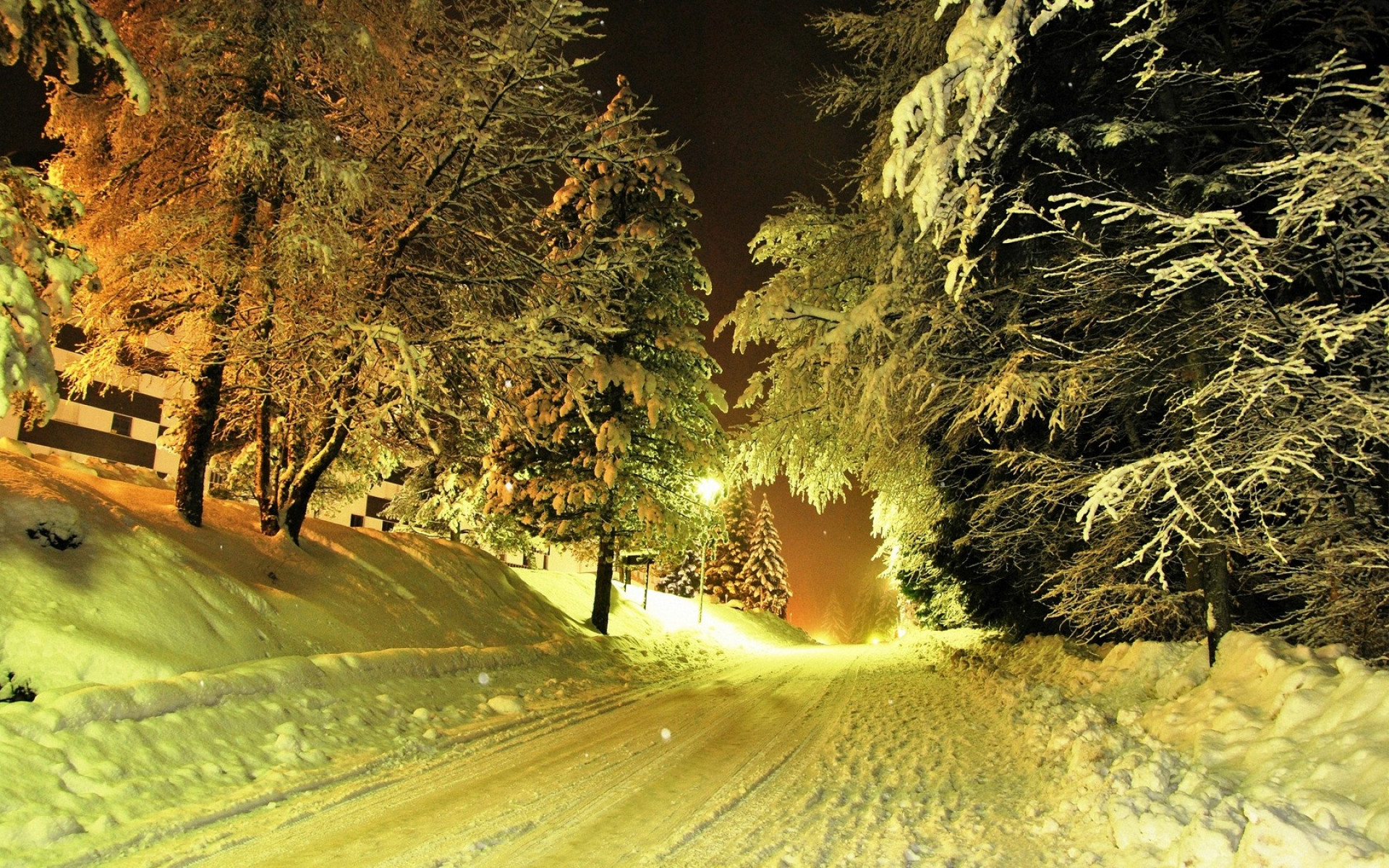 Zima HD (6).jpg