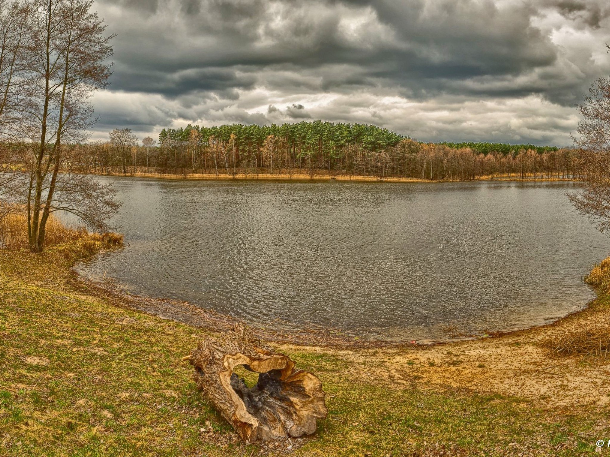 Radzyń - jezioro