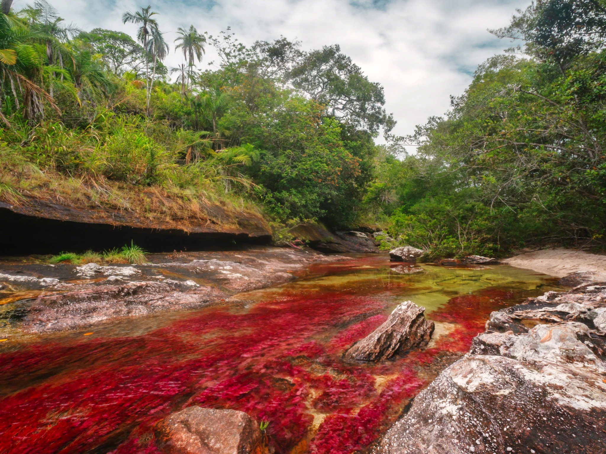 Caño Cristales