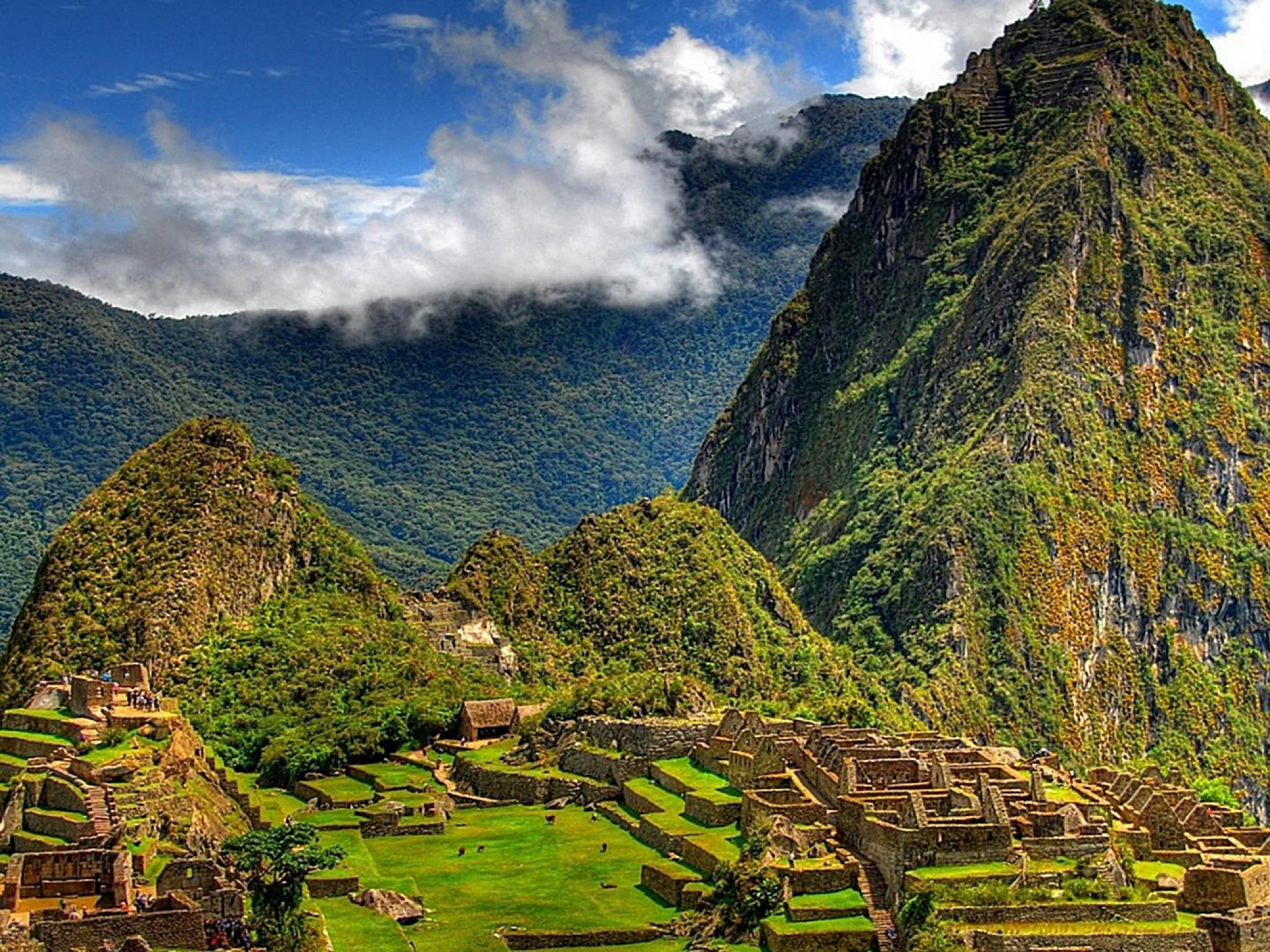 machu pichu