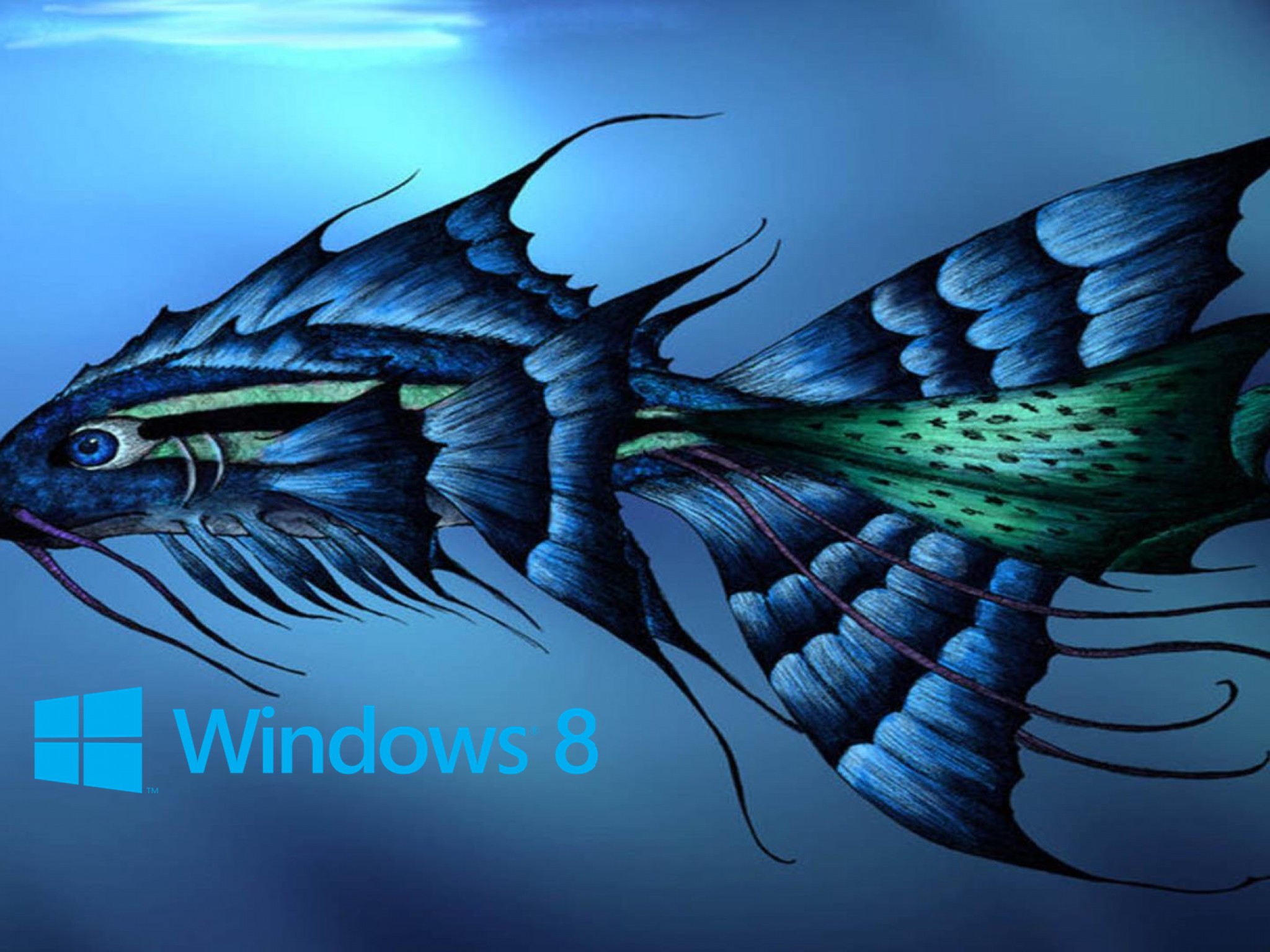 windows 8