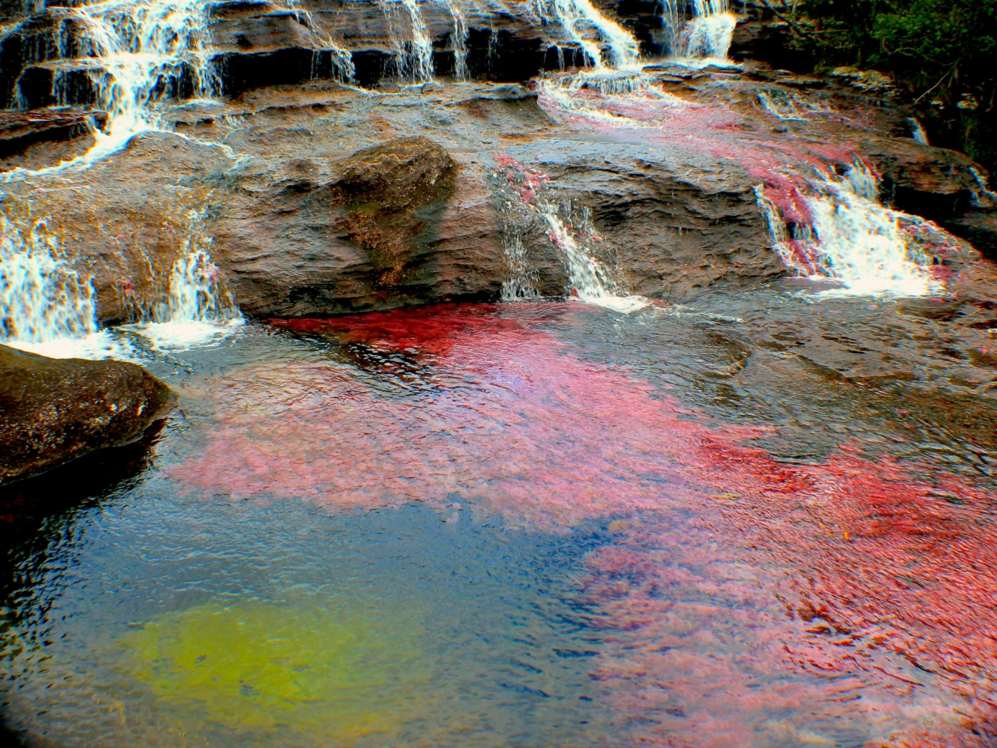 Caño Cristales