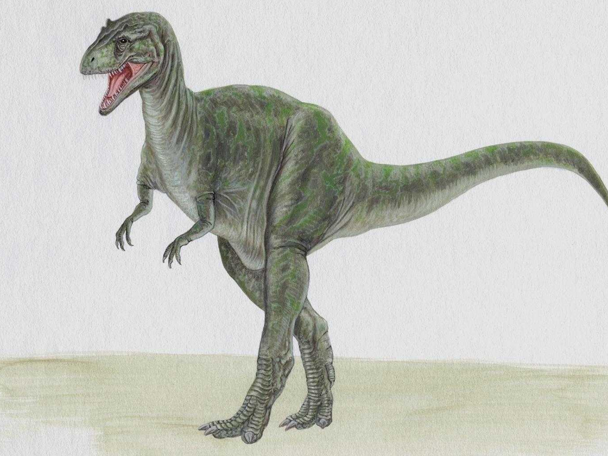 dinozaury (10).jpg