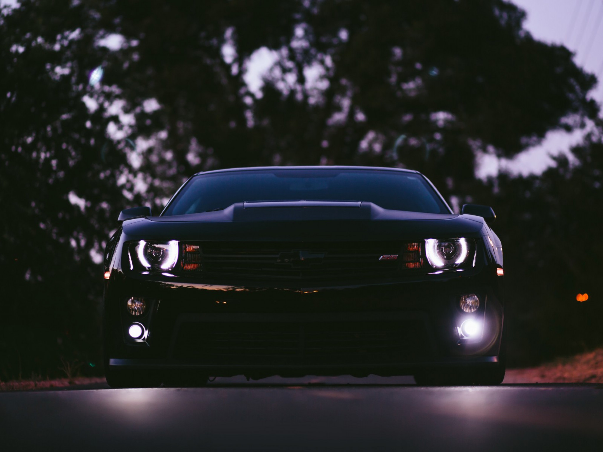 Muscle car
