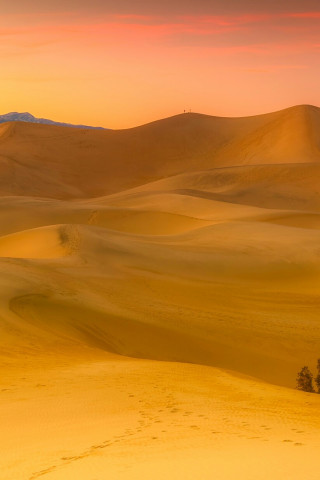 Kalifornia i piaski pustyni