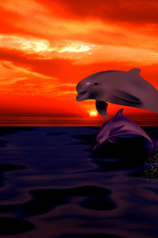 Zachód słońca i delfiny w ocenie
