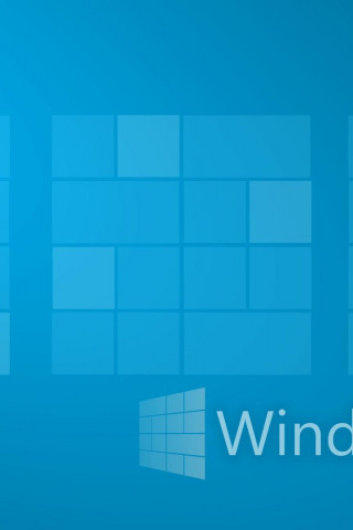 Windows 8